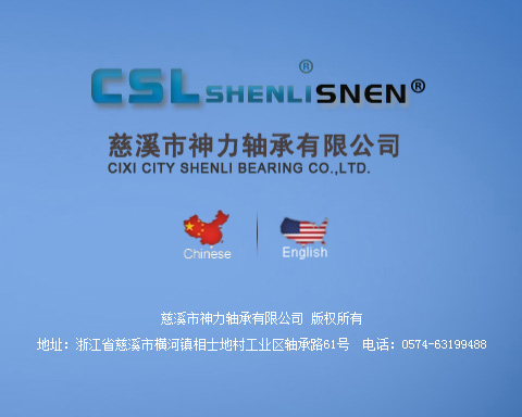 慈溪市神力軸承有限公司
