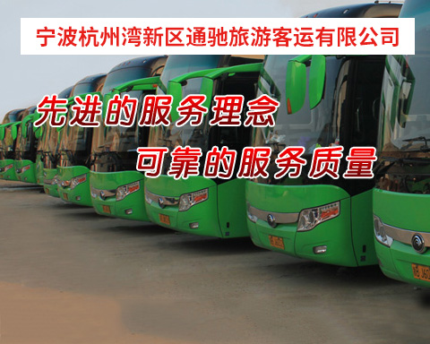 寧波杭州灣新區(qū)通馳企業(yè)管理服務(wù)有限公司